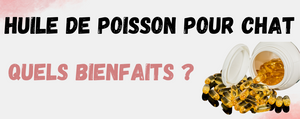 Huile de poisson pour Chat