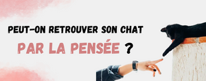 retrouver son chat par la pensée