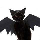 Costume pour Chat Halloween
