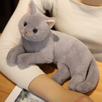 Peluche Chat Gris