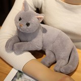 Gray Cat Plush