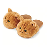 Chausson Chat Roux