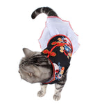 Asian Cat Costume