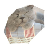 Sleeping Cat Umbrella