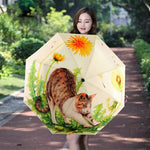 Umbrella Cat Stretching