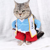 Men's Cat Costume