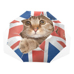Parapluie Chat Royaume-Uni