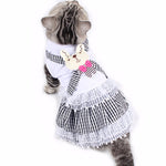 Costume pour Chat Mariage