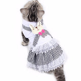 Kitten Cat Costume