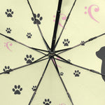 Umbrella Cat Traces