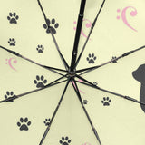 Parapluie Chat Traces