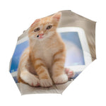 Parapluie Chat Ordinateur