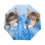 Parapluie Chat Chatons