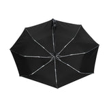 Parapluie Chat Allongé