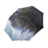 Parapluie Chat Regard