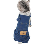 Costume pour Chat Pantalon