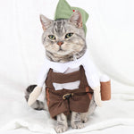 Robin Hood Cat Costume