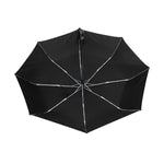Small Walk Cat Umbrella