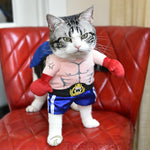 Boxer Cat Costume