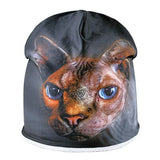 Bonnet Chat Sphynx