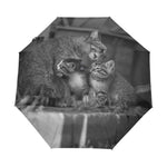 Parapluie Chat Famille