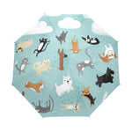 Parapluie Chat Et Chiens