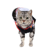 Asian Cat Costume
