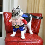 Boxer Cat Costume