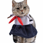 Cat Cosplay Costume
