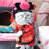 Costume pour Chat Chinois