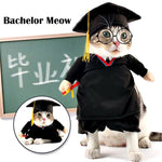 School Cat Costume