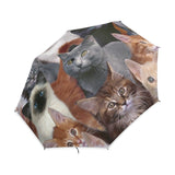 Parapluie Chat Invasion