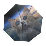 Scared Cat Umbrella