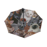 Parapluie Chat Invasion