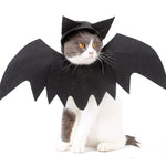 Costume pour Chat Halloween