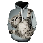 Pull Chaton Gris