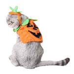Costume pour Chat Citrouille d'Halloween