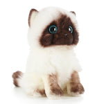 Peluche Chat Yeux Bleus