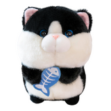 Peluche Chat Poilu