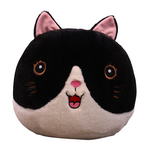 Peluche Tête de Chat