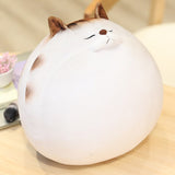 Peluche Chat Pouf