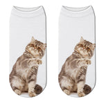 Chaussettes Chat Donne la Patte