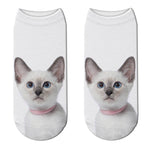Chaussettes Chat Collier