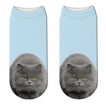 Chaussettes Chat Bleu