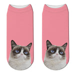 Chaussettes Chat Ragdoll