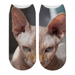 Chaussettes Chat Sphynx